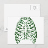 Ribkooi Briefkaart (Voorkant / Achterkant)