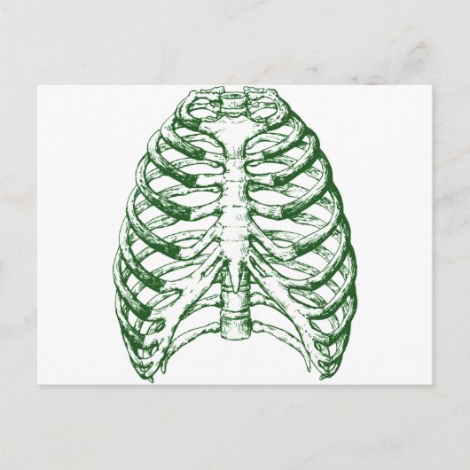 Ribkooi Briefkaart (Voorkant)