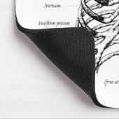 Ribkooi Muismat (Hoek)