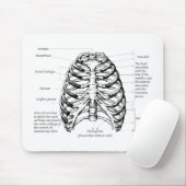 Ribkooi Muismat (Met muis)