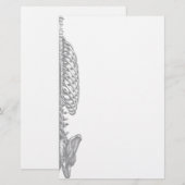 Ribkooien Briefpapier (Voorkant / Achterkant)