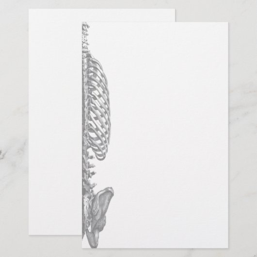 Ribkooien Briefpapier (Voorkant / Achterkant)