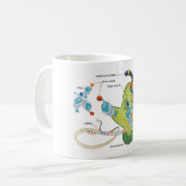 Ribosome mRNA tRNA molecules proteins Diagram  Koffiemok (Voorkant links)