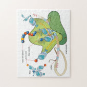 Ribosome mRNA tRNA molecules proteins Diagram  Legpuzzel (Verticaal)