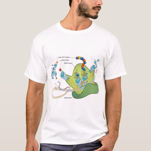 Ribosome mRNA tRNA molecules proteins Diagram  T-shirt (Voorkant)