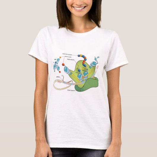 Ribosome mRNA tRNA molecules proteins Diagram  T-shirt (Voorkant)