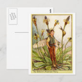 Ribwort Plaintain Fairy Briefkaart (Voorkant / Achterkant)