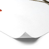 Rice Bird John James Audubon Birds of America Poster (Hoek)