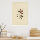 Rice Bird Poster (Keuken)