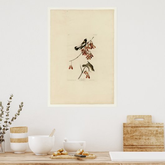 Rice Bird Poster (Keuken)
