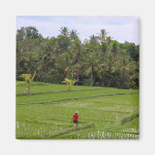 Rice Paddys Ubud Bali Magneet (Voorkant)