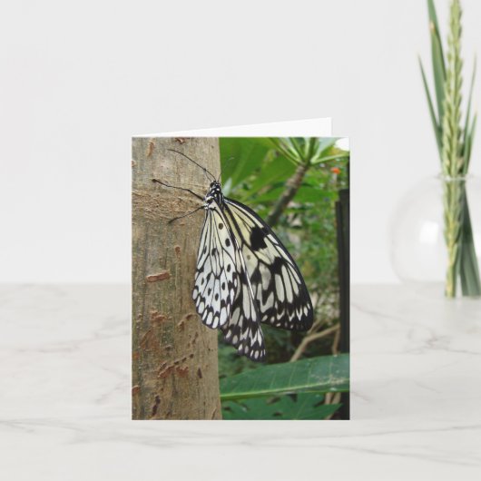 Rice Paper Butterfly Notecard Kaart (Voorkant)