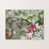 Rice Paper-vlinder, Paper-mijt, Idea leuconoe Legpuzzel (Horizontaal)