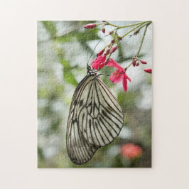 Rice Paper-vlinder, Paper-mijt, Idea leuconoe Legpuzzel