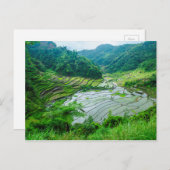 Rice terrace landschap, Filipijnen Briefkaart (Voorkant / Achterkant)
