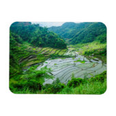 Rice terrace landschap, Filipijnen Magneet (Horizontaal)
