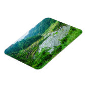 Rice terrace landschap, Filipijnen Magneet (Linkerzijde)