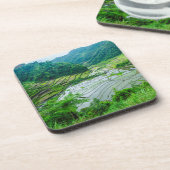 Rice terrace landschap, Filipijnen Onderzetter (Linkerzijde)