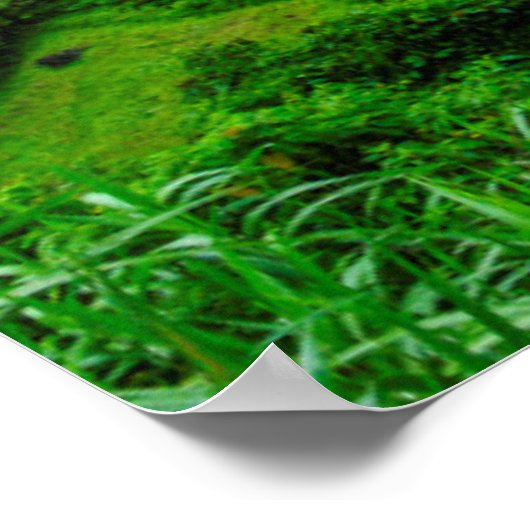 Rice terrace landschap, Filipijnen Poster (Hoek)