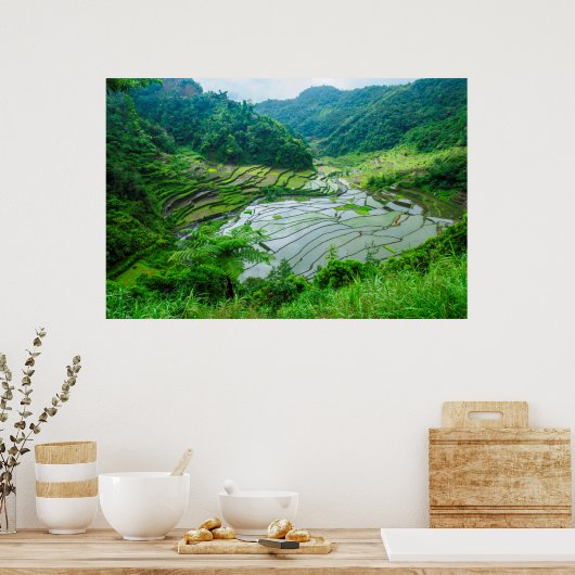 Rice terrace landschap, Filipijnen Poster (Keuken)