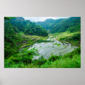 Rice terrace landschap, Filipijnen Poster (Voorkant)
