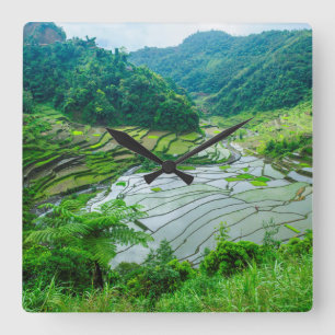 Rice terrace landschap, Filipijnen Vierkante Klok