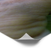 Ricefield close-up Poster (Hoek)