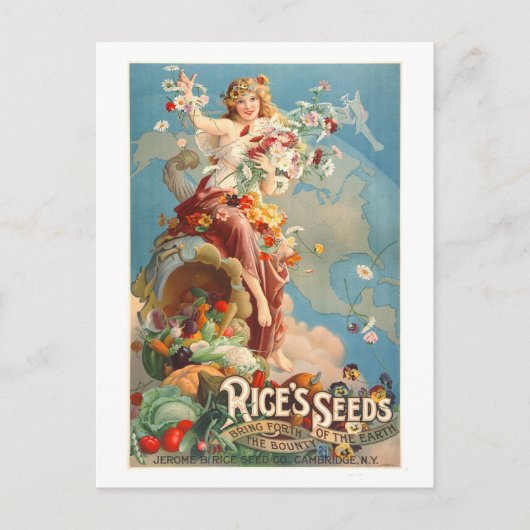 Rice's Seed Advertentie Briefkaart (Voorkant)