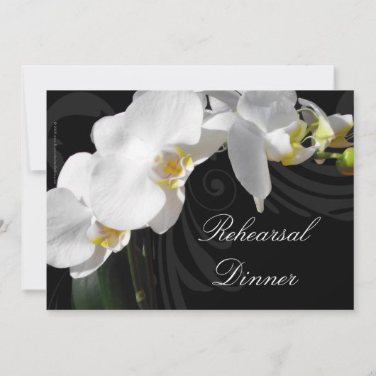 Rich Black w / Orchid repetitie diner uitnodiginge Kaart (Achterkant)