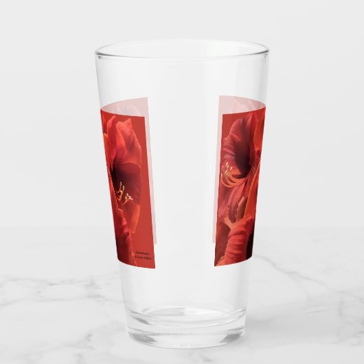 Rich Earth Ruby Red Amaryllis Foto Glas (Links)