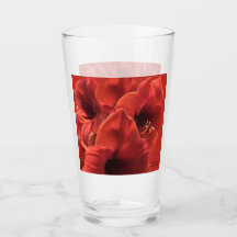 Rich Earth Ruby Red Amaryllis Foto