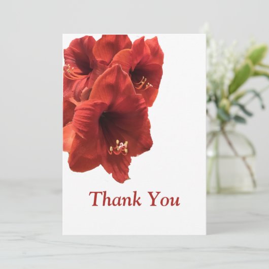 Rich Earthy Ruby Red Amaryllis Composite Foto Bedankkaart (Staand voorkant)