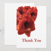 Rich Earthy Ruby Red Amaryllis Composite Foto Bedankkaart (Voorkant / Achterkant)