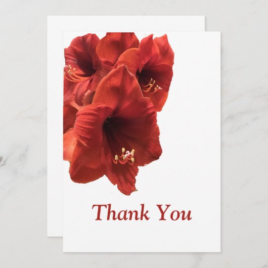 Rich Earthy Ruby Red Amaryllis Composite Foto Bedankkaart (Voorkant / Achterkant)