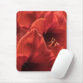 Rich Earthy Ruby Red Amaryllis Composite Foto Muismat (Met muis)