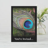 Rich, Elegant Peacock Feather Foto Kaart (Staand voorkant)