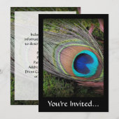 Rich, Elegant Peacock Feather Foto Kaart (Voorkant / Achterkant)