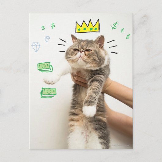 Rich King Cat Briefkaart (Voorkant)