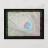 Rich Peacock Feather Green Moss Save the Date Kaar Aankondigingskaart (Achterkant)