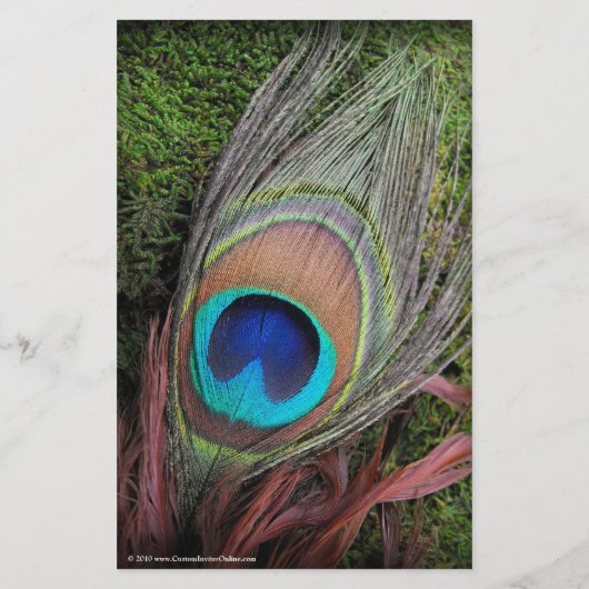 Rich Peacock Feather met Green Moss Flyer (Achterkant)