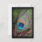 Rich Peacock Feather met Green Moss RSVP Kaartje (Achterkant)