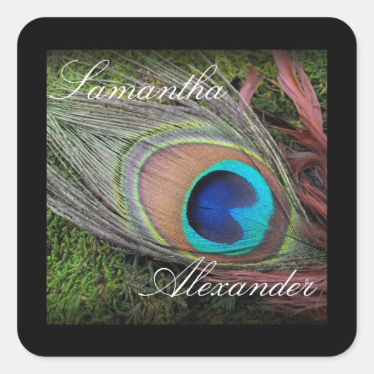 Rich Peacock Feather met Green Moss Vierkante Sticker (Voorkant)
