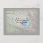 Rich Peacock Feather met Groen Mos RSVP Antwoord Uitnodiging Briefkaart (Achterkant)