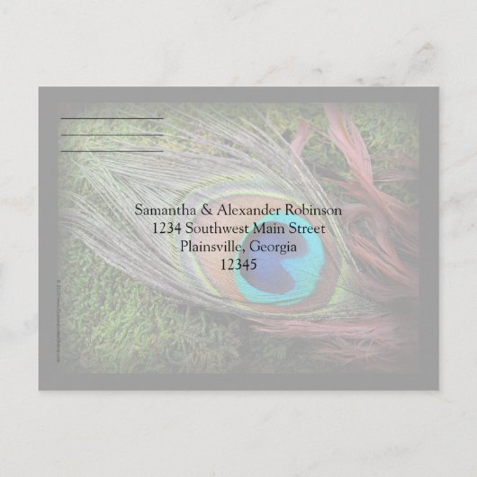 Rich Peacock Feather met Groen Mos RSVP Antwoord Uitnodiging Briefkaart (Achterkant)