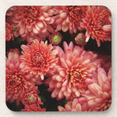 Rich Red Chrysanthemums Onderzetter (Voorkant)