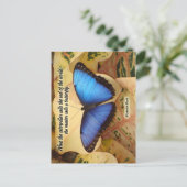 Richard Bach-The Caterstyle Briefkaart (Staand voorkant)