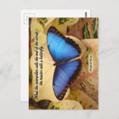 Richard Bach-The Caterstyle Briefkaart (Voorkant / Achterkant)