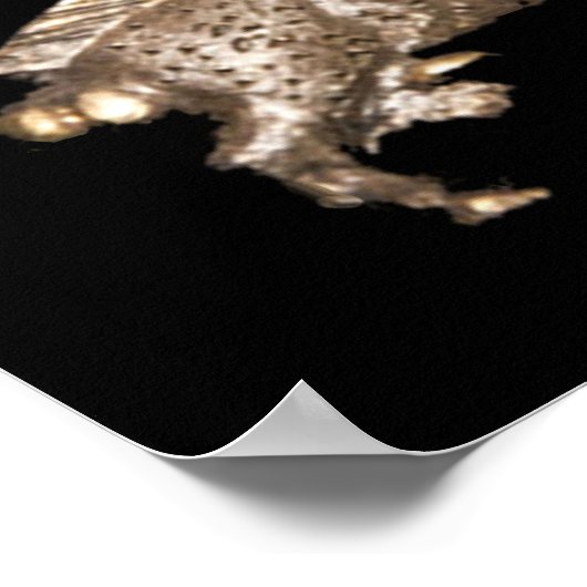 Richard III in de schaduwen Poster (Hoek)