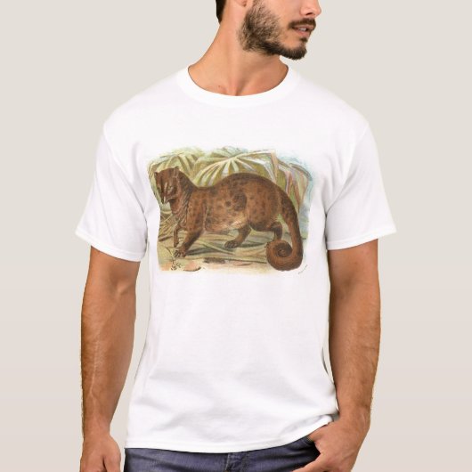 Richard Lydekker - Common Palm Civet T-shirt (Voorkant)