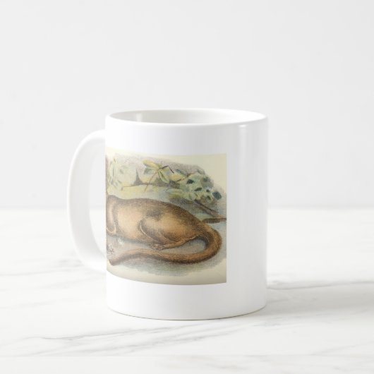 Richard Lydekker - Fossa Bookstore Promo Koffiemok (Voorkant links)